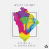 What So Not - Gemini (Ekali Remix) - Single